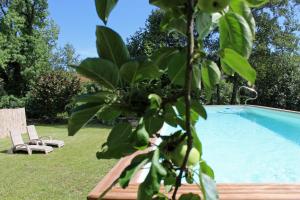 ein Pool mit zwei Stühlen und ein Baum daneben in der Unterkunft Angele & Auguste in Nervezain