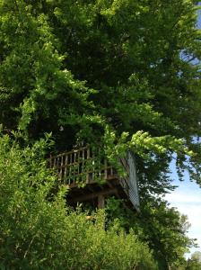 Vonkajšia záhrada v ubytovaní Treehouse escape