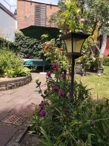 Zahrada ubytování Spreewald Ferienwohnung Wollgast