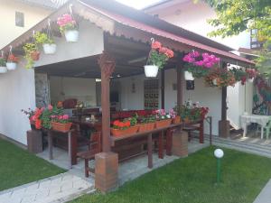 Zahrada ubytování Casa Sunshine