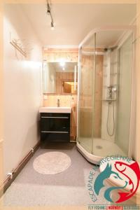 a bathroom with a shower and a sink at Escapade Norvégienne in Tolga