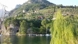 Elle offre une vue sur un lac avec des arbres et une montagne. dans l'établissement Casatragliulivi, à Marone