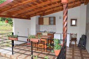 a patio with a kitchen and a table with plants at Casa Visescu in Băile Herculane