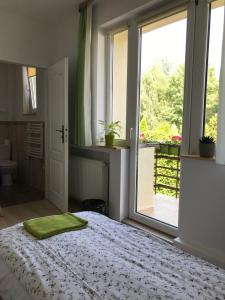 sypialnia z łóżkiem i dużym oknem w obiekcie Kathia Pokoje Gościnne w mieście Katowice