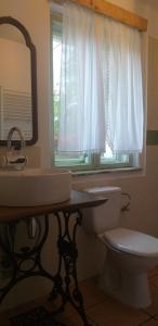 a bathroom with a sink and a toilet and a window at Guest House Victoria in Galda de Jos