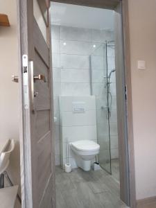 a bathroom with a toilet and a glass shower at Willa Karwia in Karwia