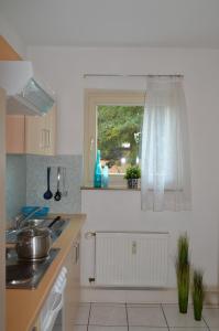 Kuchyň nebo kuchyňský kout v ubytování Neu Heidelberg - Guesthouse & Apartments