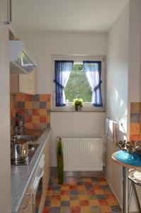 Kuchyň nebo kuchyňský kout v ubytování Neu Heidelberg - Guesthouse & Apartments