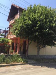 une maison avec un arbre en face dans l'établissement Vila GABY Mangalia, à Mangalia
