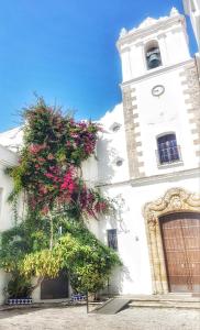 A garden outside El Beaterio Apartments