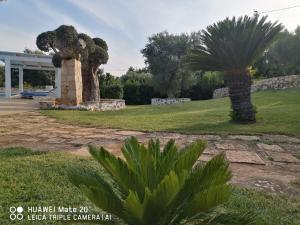 A garden outside Casetta Letizia