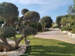 A garden outside Casetta Letizia