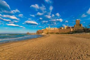 a view of the beach with a castle in the background at Splendido appartamento a due passi dal mare in Termoli