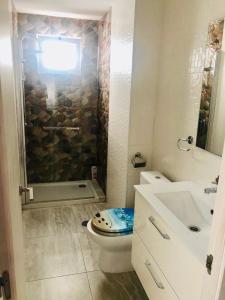 アリカンテにあるAlona Homeのバスルーム(シャワー、トイレ、シンク付)