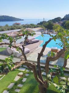 a view of a swimming pool with a tree at Panormos Beach Hotel Skopelos in Panormos Skopelos