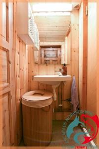 Baño pequeño con aseo y lavamanos en Escapade Norvégienne, en Tolga