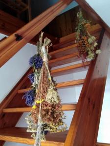 a bunch of dried flowers hanging from a wooden ceiling at Agroturystyka U Iwonki in Białowąs