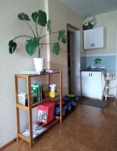 a living room with a shelf with a plant on it at Agroturystyka U Iwonki in Białowąs