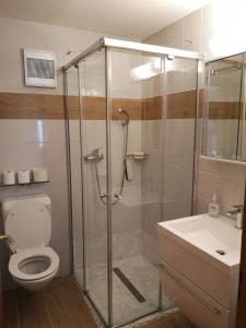 ein Bad mit einer Dusche, einem WC und einem Waschbecken in der Unterkunft Studio 20 Ovronnaz in Ovronnaz