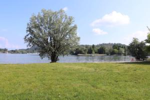 Táj az apartman közelében
