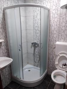a shower stall in a bathroom with a toilet at Srebrna Nit in Veliko Gradište +19 photos