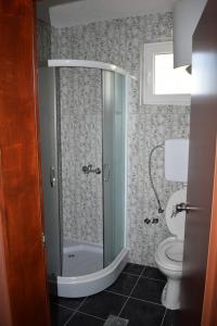 a bathroom with a shower and a toilet at Srebrna Nit in Veliko Gradište