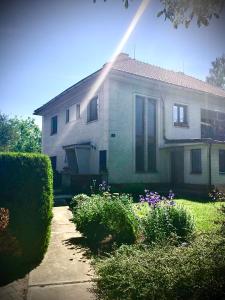 a house with a sprinkler in front of it at Farma u Tošovských in Týniště nad Orlicí