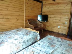 a room with two beds and a tv in it at Будиночок у затишку in Svityazʼ