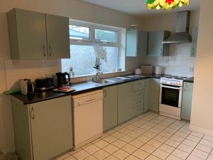 a kitchen with green cabinets and white appliances at Creamery Cottage in Kenmare