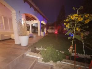 Zahrada ubytování Villa PaloMayor