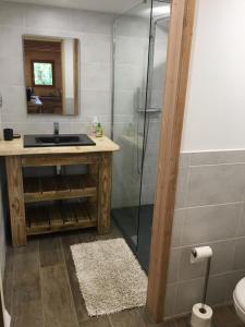 a bathroom with a sink and a shower at Lodge du Berlandou in Escragnolles