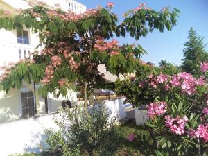 Zahrada ubytování House apartments Ariamare