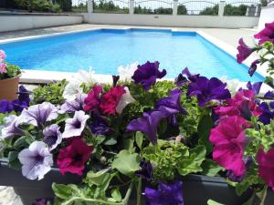 Bazén v ubytování House apartments Ariamare nebo v jeho okolí