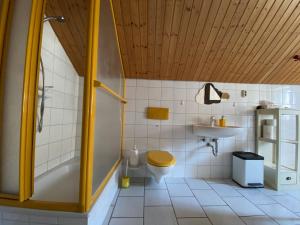 a bathroom with a shower and a toilet and a sink at Landhof Liebsch, mit Pool und Sauna in Jerichow