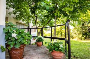 A garden outside Agriturismo Podere Coldifico