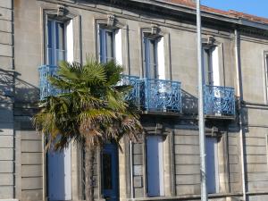 a palm tree in front of a building with blue balconies at Ethnique in Rochefort