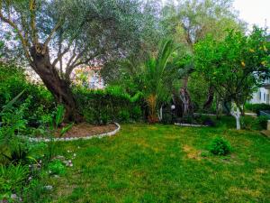 a garden with a tree and a grass yard at Harmony Garden in Parga
