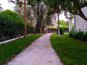 Zahrada ubytování Harmony Garden