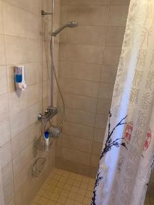 a shower with a shower curtain in a bathroom at VITA Ruokolahti 3 in Ruokolahti