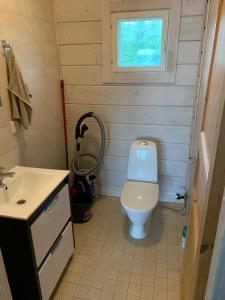 a small bathroom with a toilet and a sink at VITA Ruokolahti 3 in Ruokolahti