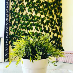 una planta en una olla blanca sentada en una mesa en Hotel Arunda II, en Ronda