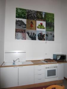 a kitchen with a sink and a stove and pictures on the wall at Aganis in Casarsa della Delizia