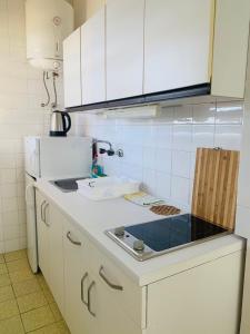 a kitchen with a sink and a counter top at Apartments Knežević in Ulcinj