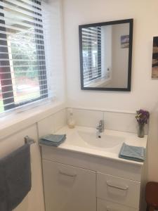 een badkamer met een wastafel en een spiegel bij Glenwai in Motueka