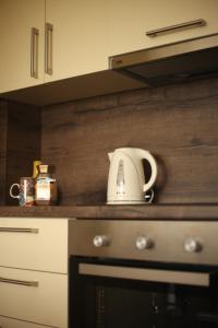 a toaster sitting on top of a kitchen counter at Apartment Perviz in Bihać