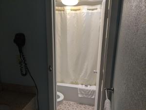 a bathroom with a shower and a toilet in it at Executive Inn in Fort Wayne
