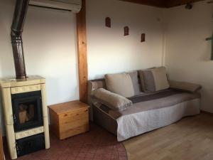 Una sala de estar con un sofá y una chimenea. en Vineyard Cottage Janko & Metka, en Otočec