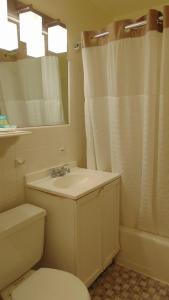 a bathroom with a sink and a toilet and a mirror at Oceanside Lodge in Marmora