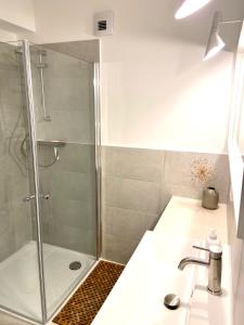 a shower stall in a bathroom with a sink at Harz is calling in Hahnenklee-Bockswiese