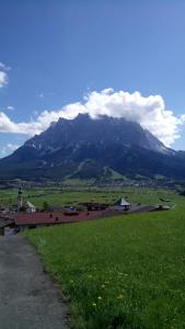 ein grünes Feld mit einem Berg im Hintergrund in der Unterkunft Pension Garni Hochmoos in Lermoos